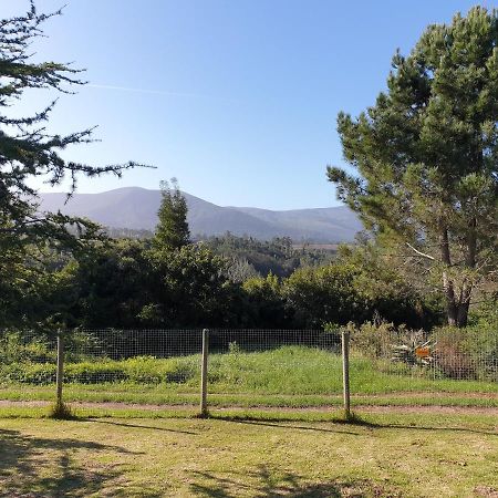 Elephant Country Guest House The Crags Экстерьер фото